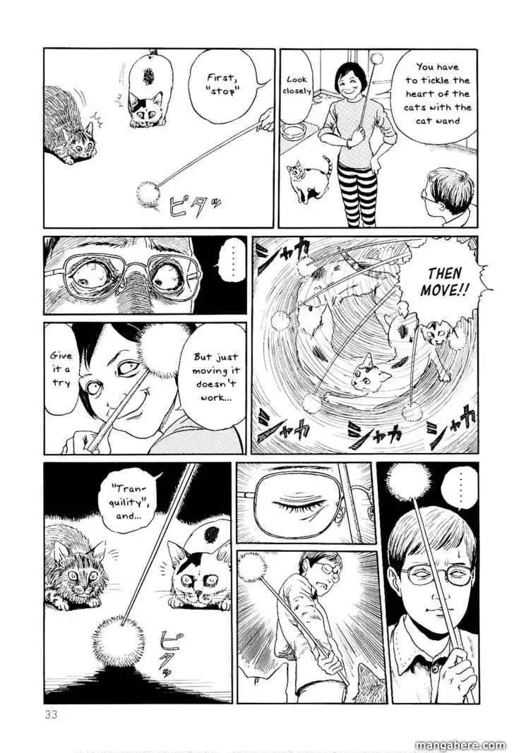 Ito Junji's Cat Diary Chapter 3 9